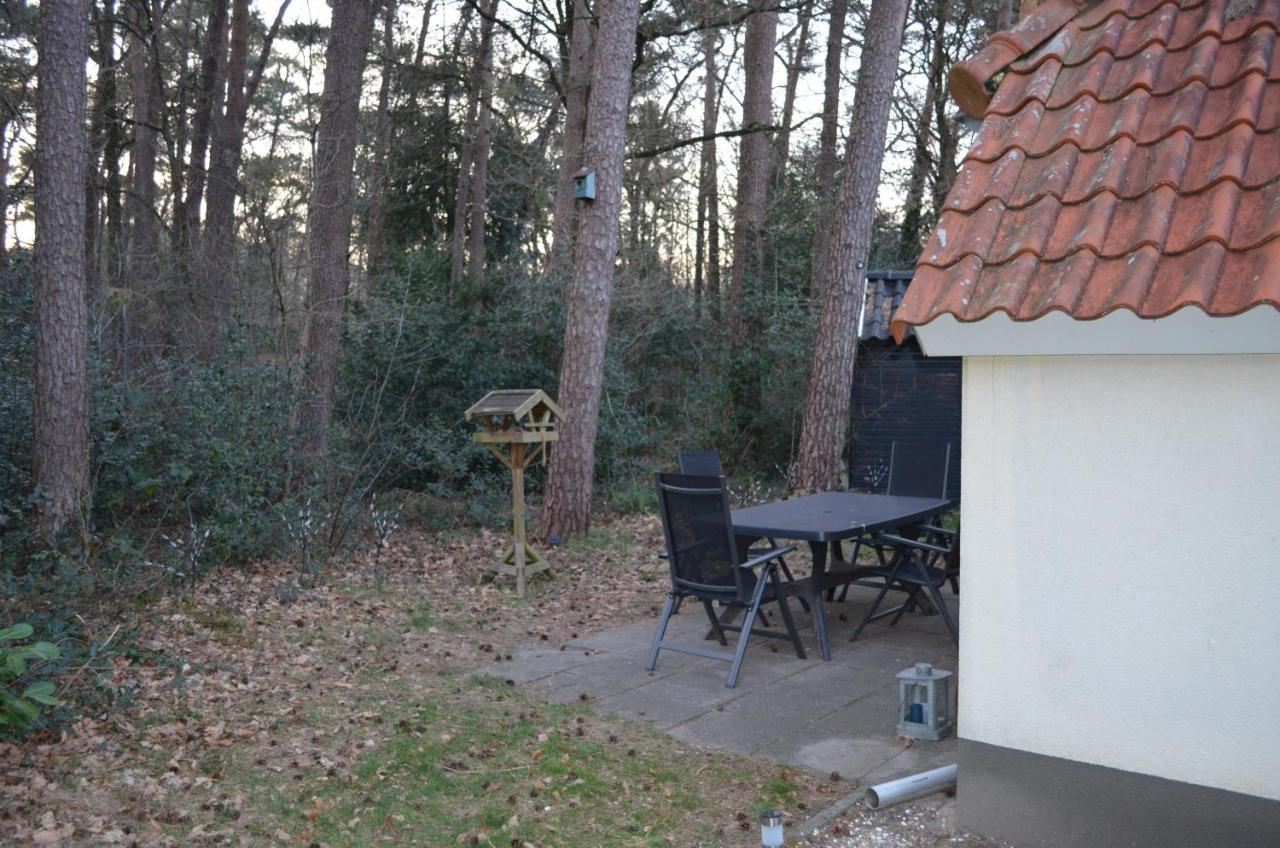 Wittebergen25 Villa IJhorst Buitenkant foto